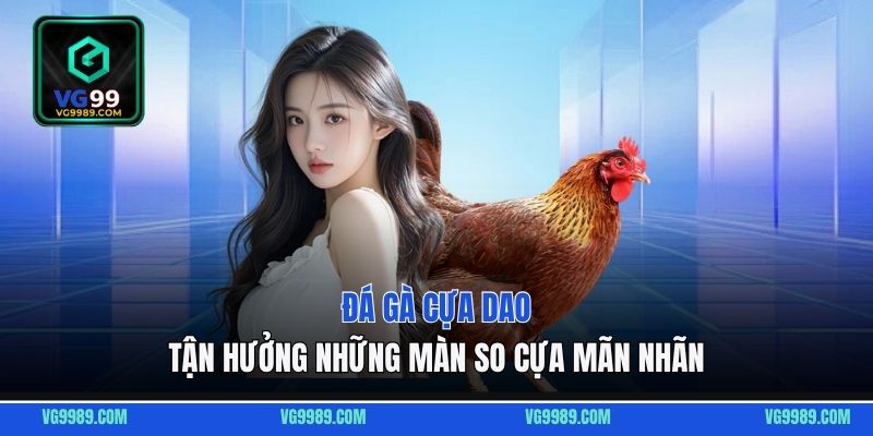 Đá gà cựa dao - Tận hưởng những màn so cựa mãn nhãn