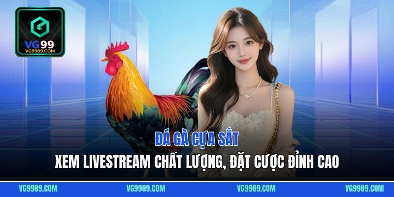 Đá Gà Cựa Sắt - Xem Livestream Chất Lượng, Đặt Cược Đỉnh Cao